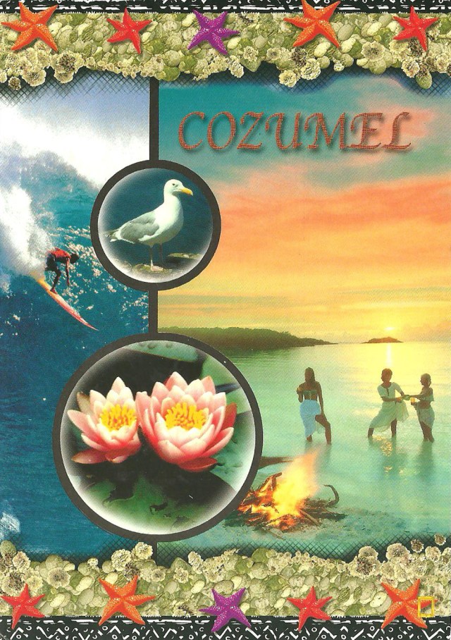 Cozumel Mexico Distribuciones y souvenirs S A De C V Tel 99 88 92 19 17