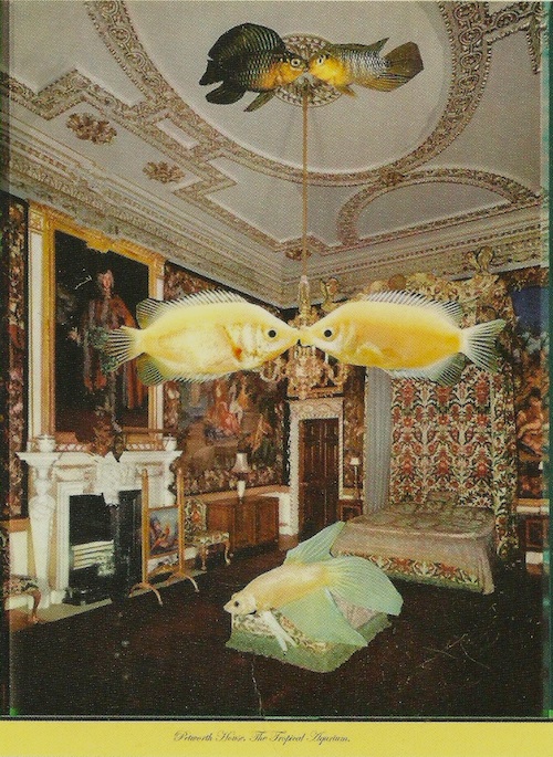 David Ferry Petworth House, The Tropical Aquarium Oil on canvas 78cm x 54cm on postcard advertising Chart Gallery 'We Are Here' Print show 20th November 6-9pm