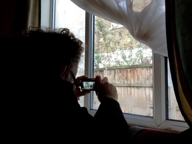 Marko taking a picture of a squirrel from Dada Studios February 2014