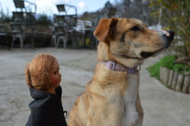 At Ustaria Di a Rota Club March 2014