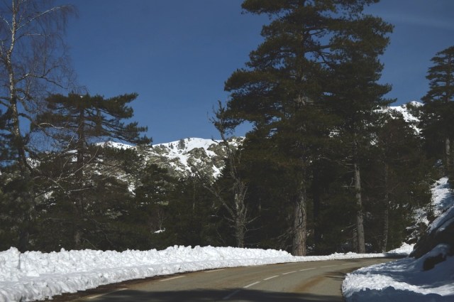 Up in the mountains crossing from east to west Corsica March 2014  (Photograph by Lettie)