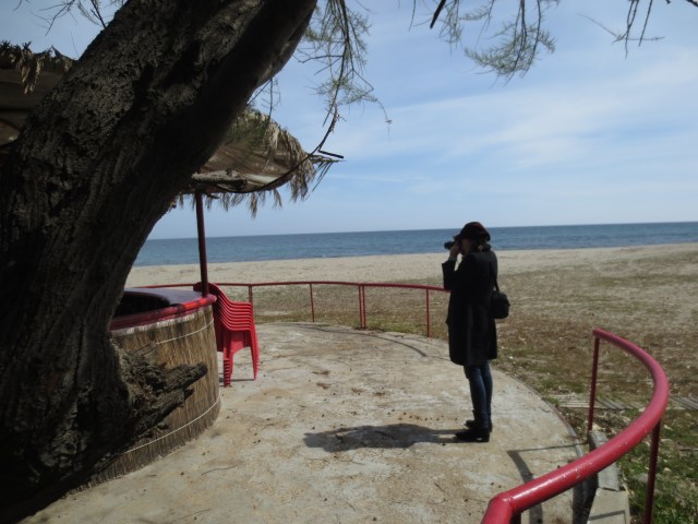 Lettie in Corsica by Denise Arnold March 2014