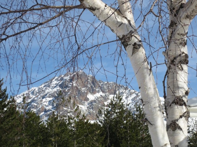 Snow capped mountains of Corsica March 2014 photograph by Denise Arnold
