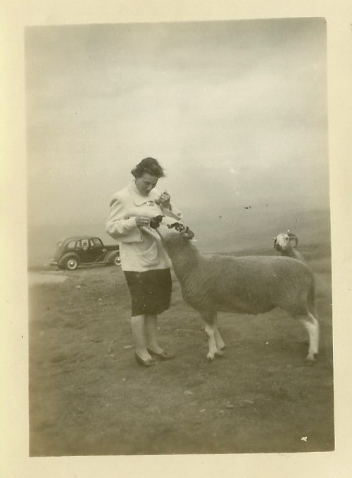 Unknown Photograph from photo album Bridlington 1938