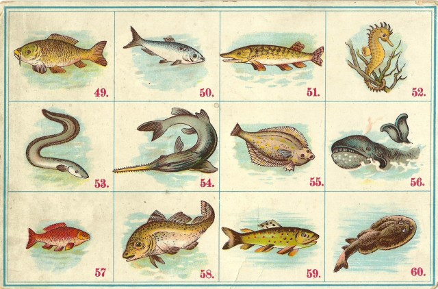 Bavarian Card bought in Yoxford Antique market