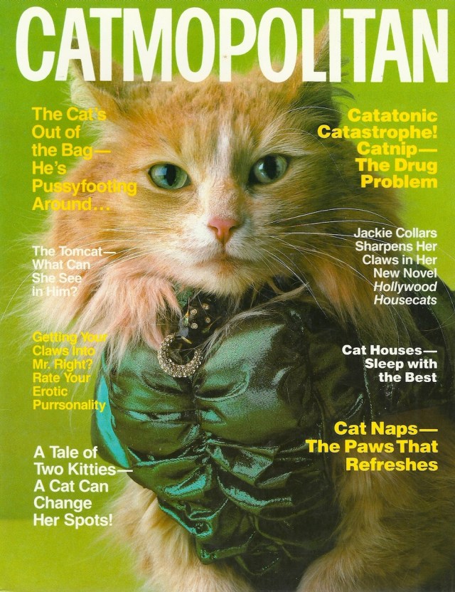 Catmopolitan by Ilene Hockberg copyright 1987 by Ilene Rosenthal Hockberg printed in Spain published by Corgi Books