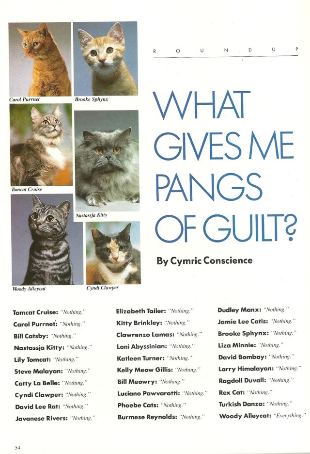 What Gives Me Pangs of Guilt from Catmopolitan by Ilene Hockberg (c) Ilene Roseenthal Hockberg 1987