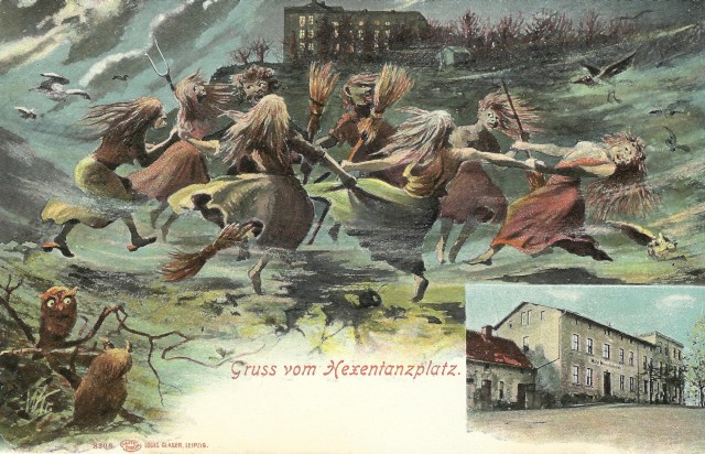 Pofttarte blank on the back