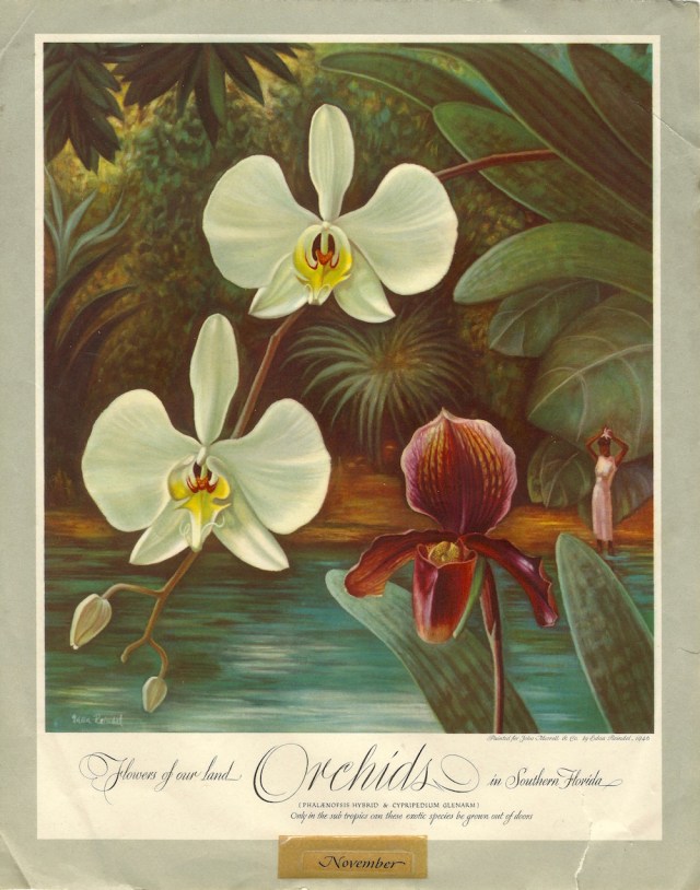 Unknown loose ephemera November