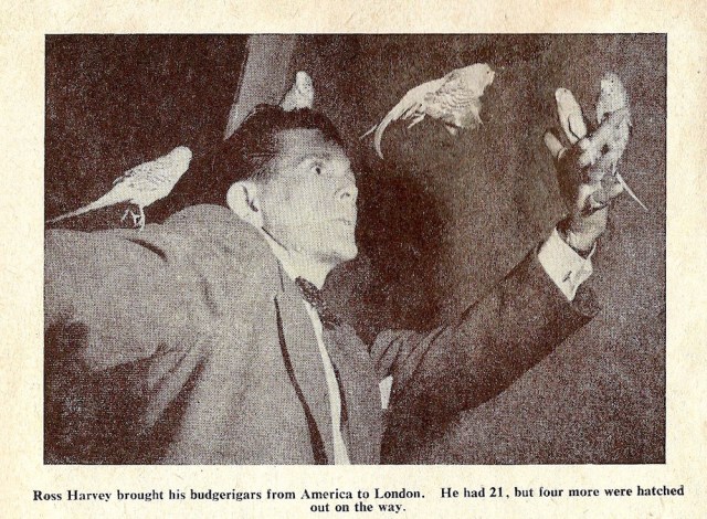 Inside cover of London Life Magazine 1952