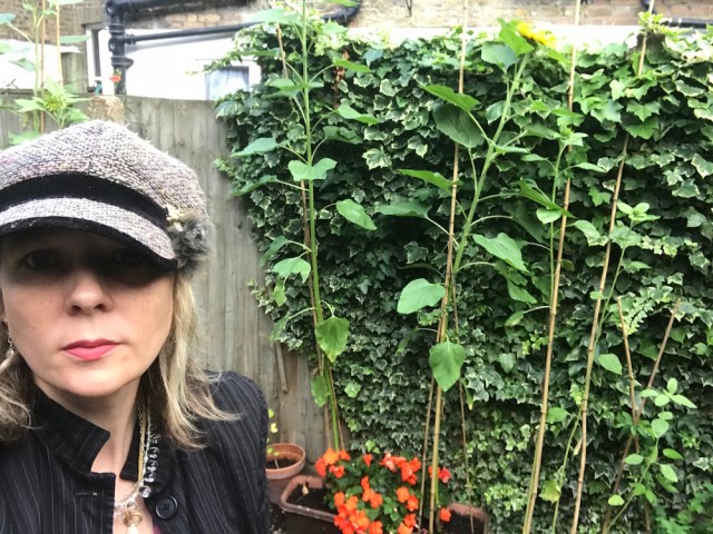 Lettie waiting for her sunflowers August 2019