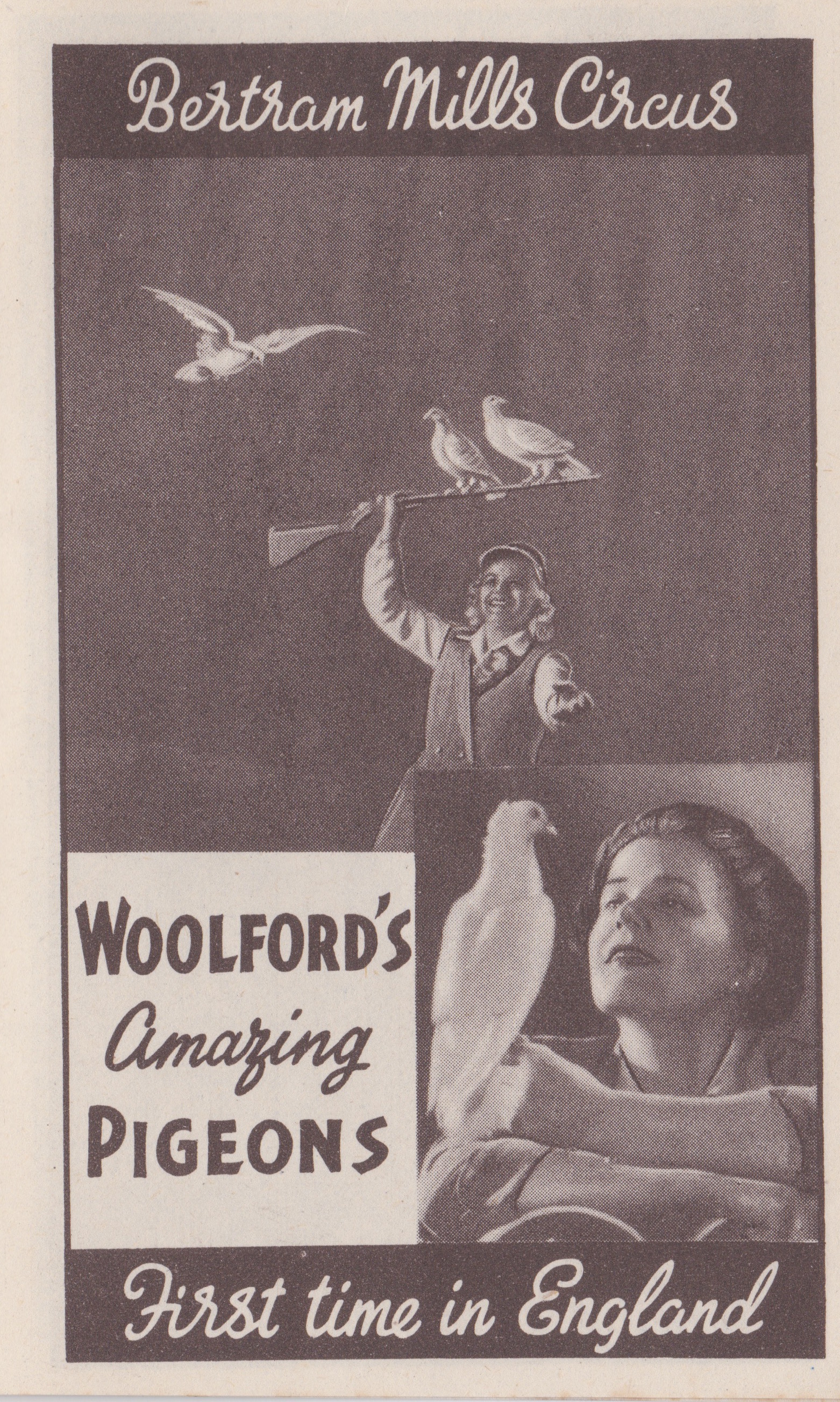 Bertram Mills Circus Dec 17 1948 Woolford's Amazing Pigeons