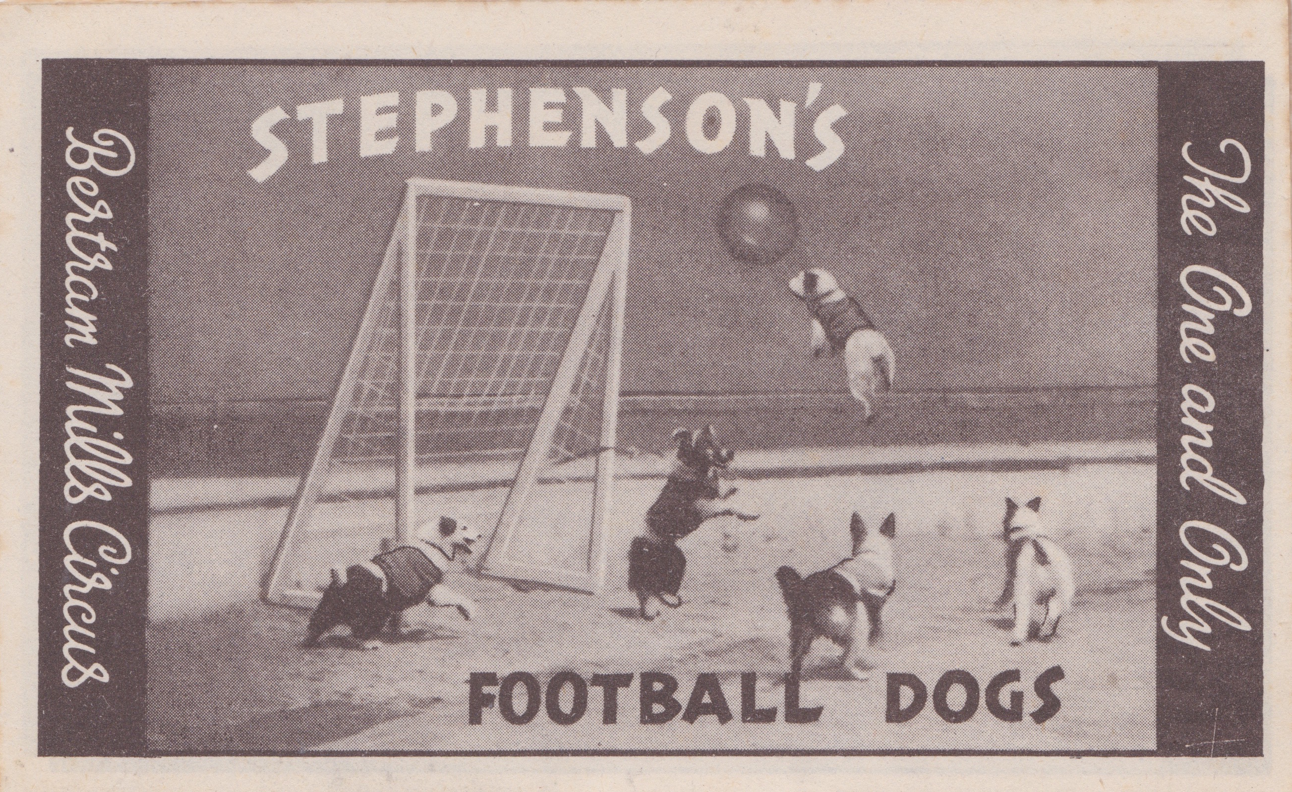 Bertram Mills Circus Dec 17 1948Stephenson's Football Dogs