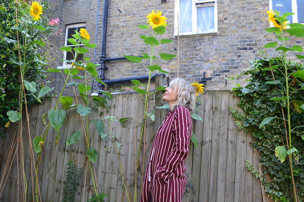 Last year Lettie with her sunflowers August 2019